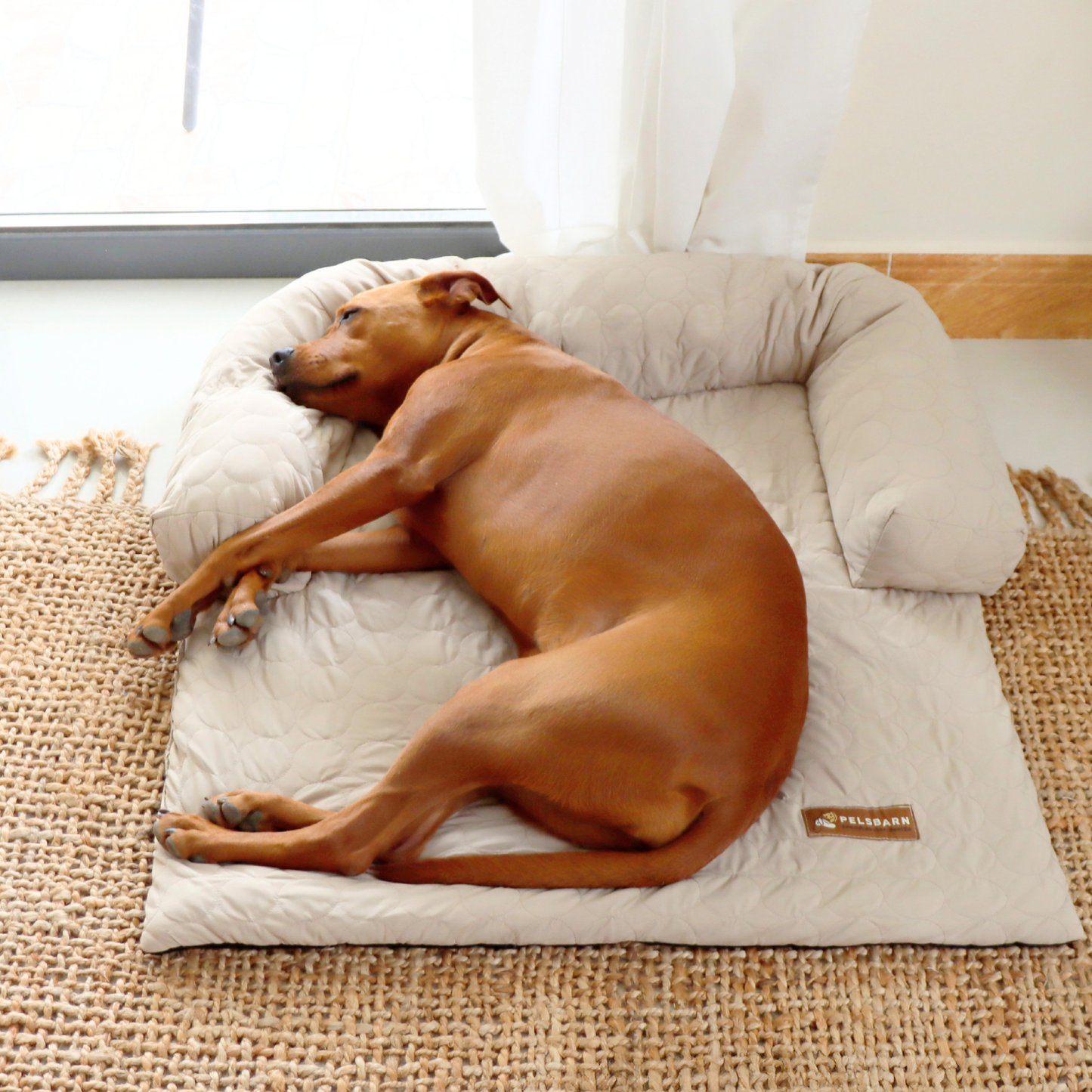 Cooling Sofa Bed